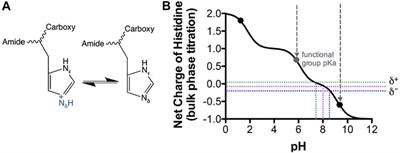 ATP binding by an F1Fo ATP synthase ε subunit is pH dependent, suggesting a diversity of ε subunit functional regulation in bacteria